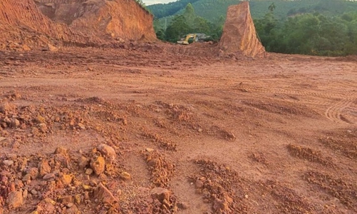 Lâm Đồng: Hủy hoại 3,16 ha đất, Công ty Phượng Đỏ Đà Loan phải nhận án phạt