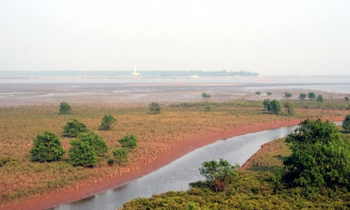 Hơn 571 ha đất ở TP. Vũng Tàu  chưa được sử dụng