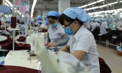 Hoàn thành hỗ trợ lao động từ quỹ Bảo hiểm thất nghiệp trong tháng 10