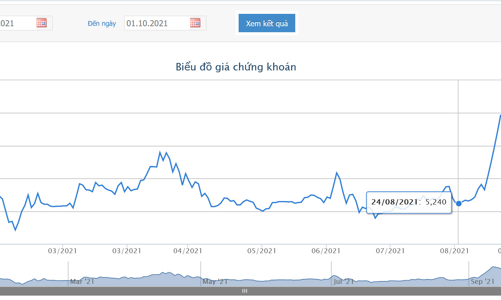 VPH bị đình chỉ kinh doanh bất động sản trong vòng 12 tháng, Quỹ ngoại Pyn Elite Fund liên tục thoái vốn 