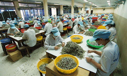 Phải “khám sức khỏe” cho doanh nghiệp vừa và nhỏ