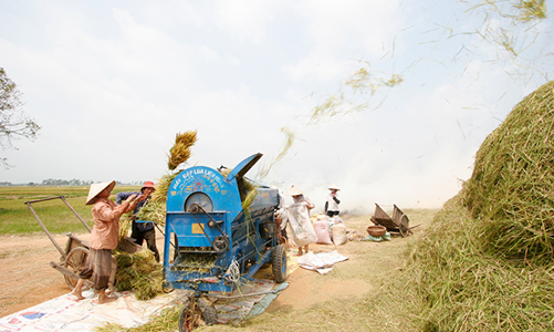 Nông nghiệp thể hiện vai trò bệ đỡ cho nền kinh tế