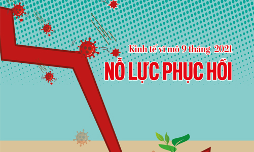 Tạp chí Kinh tế Việt Nam số  65