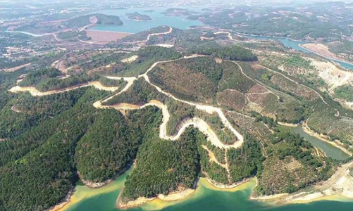 Dự án tỷ đô của công ty Sài Gòn - Đại Ninh làm biến mất 257ha rừng tại Lâm Đồng