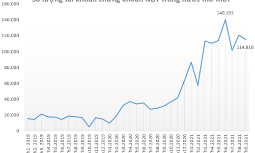 Hơn 115 nghìn tài khoản chứng khoán mở mới trong tháng 9/2021