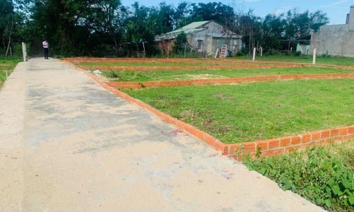 Đà Nẵng thanh tra công tác quản lý, sử dụng đất lâm nghiệp tại Hòa Vang và Liên Chiểu