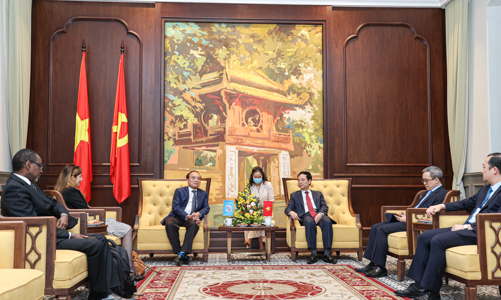 Chính phủ cùng các nhà mạng sẽ mua thiết bị 4G, tiến tới tắt sóng 2G năm 2023