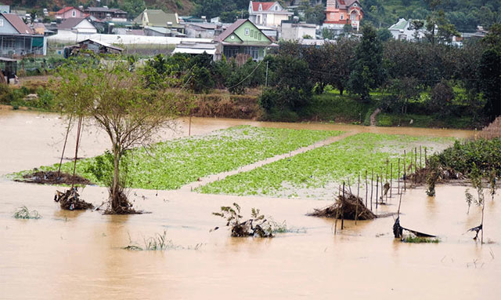 Quảng Nam: Khảo sát các dự án nhà ở để đánh giá khả năng ngập úng mùa lũ 2021