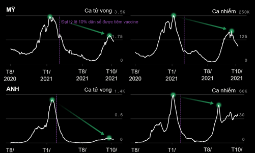 Cùng có độ phủ vaccine Covid-19 cao, vì sao một số quốc gia có tỷ lệ tử vong cao hơn?