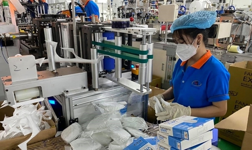 TP.HCM: Hơn 111.000 lao động hưởng hỗ trợ từ Quỹ bảo hiểm thất nghiệp