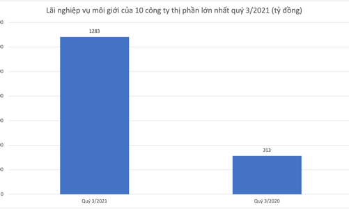 Công ty chứng khoán nào đang kiếm lãi tốt nhất từ mảng môi giới?