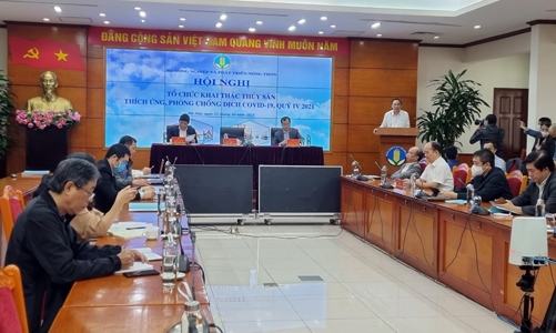 Hơn 43 nghìn tàu cá phải tạm nằm bờ, ngừng hoạt động