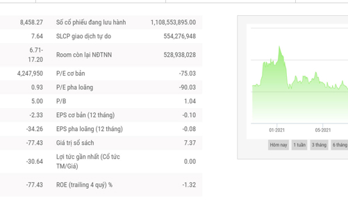 9 tháng, HNG lỗ tiếp 304 tỷ đồng và nâng lỗ lũy kế lên gần 2.610 tỷ đồng