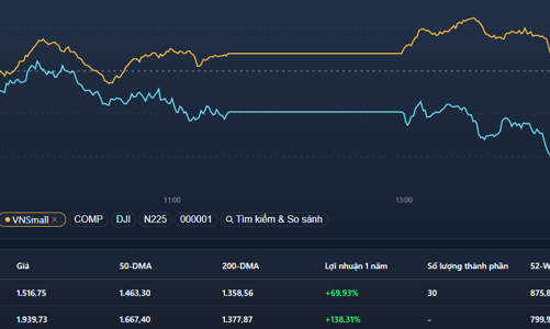VN30-Index bốc hơi hơn 1%, cổ phiếu nhỏ trần “cứng”