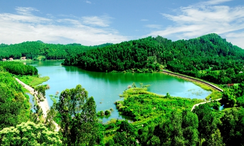 Kiến nghị xem xét thu hồi hàng trăm ha đất tại Ninh Bình