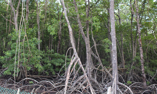 Bà Rịa-Vũng Tàu thu hồi gần 5.600 ha đất để làm 270 dự án