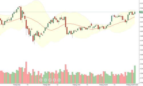 Blog chứng khoán: “Gáo nước lạnh”