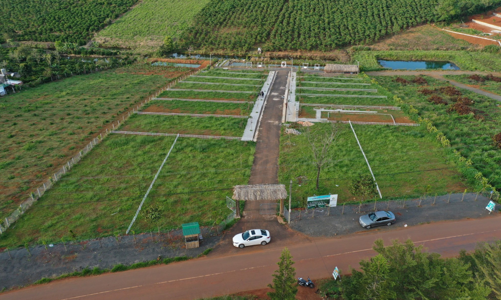 Quy định mới về tách thửa, hợp thửa đất nhằm ngăn chặn phân lô, bán nền tại Lâm Đồng 