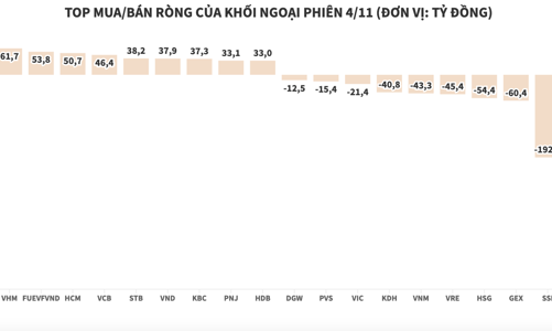 Khối ngoại quay lại bán ròng, tâm điểm PAN và SSI