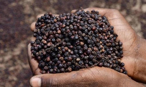 EU thông báo tần suất kiểm tra thực tế với một số mặt hàng rau quả nhập khẩu vào EU