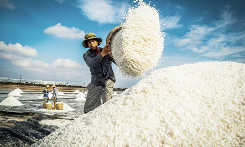 Đề xuất gần 1.200 tỷ đồng vực dậy ngành muối, nâng cao giá trị hạt muối