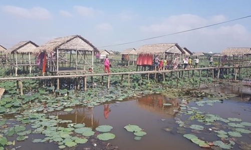 Mở ra nhiều hướng canh tác mới cho mùa nước nổi tại Đồng bằng sông Cửu Long