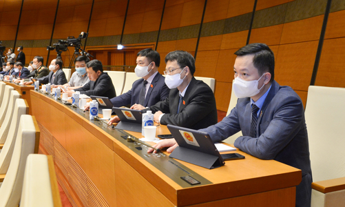 Thanh Hóa được tự quyết chuyển mục đích sử dụng đất rừng đặc dụng dưới 50 ha