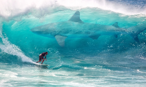 “Cơn điên” UPCoM và lời cảnh báo đắt giá “khi thuỷ triều rút”