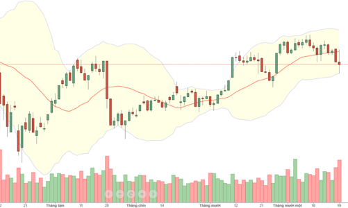 Blog chứng khoán: Thong thả mà “nhặt”