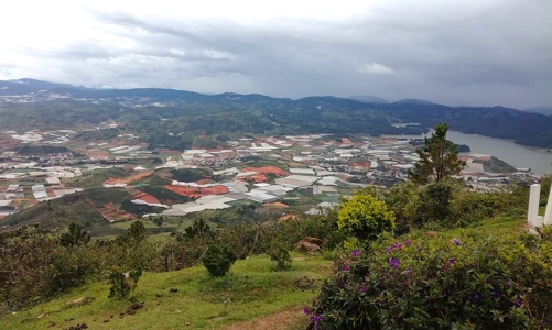 Lâm Đồng kiên quyết thu hồi dự án xây dựng nếu chủ đầu tư không khắc phục sai phạm