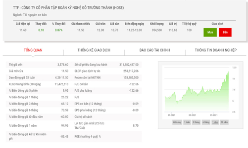 Gỗ Trường Thành được chấp thuận cho chào bán 100 triệu cổ phiếu để hoán đổi nợ
