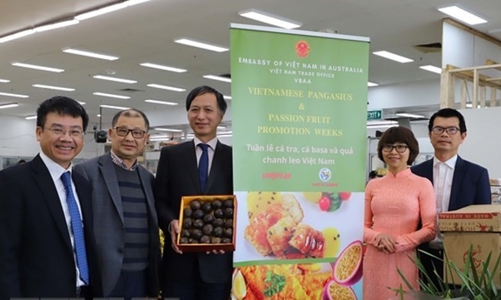 Lần đầu tiên tiếp thị 2 tấn chanh leo cấp đông nguyên quả tại Australia 