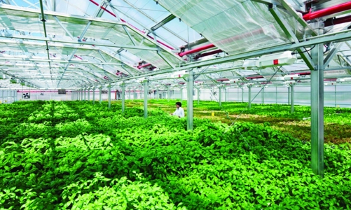 Cần Thơ thu hồi chủ trương đầu tư dự án 100 ha với tổng vốn 3.583,8 tỷ đồng