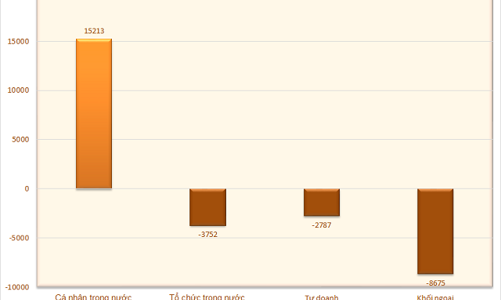 Nhà đầu tư cá nhân trỗi dậy “cân” cả thị trường, đổ tiền mua ròng 84.000 tỷ trên sàn chứng khoán