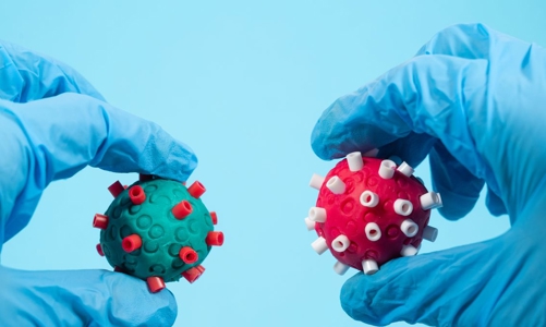 Nếu Omicron “thắng” Delta, dấu hiệu đại dịch sắp kết thúc?