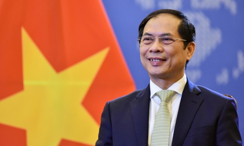 Bộ trưởng Bùi Thanh Sơn: Tranh thủ tối đa các FTA, đẩy mạnh hợp tác quốc tế trong phòng chống dịch