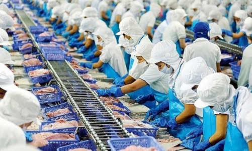 Muốn xuất khẩu thành công vào thị trường nhập khẩu lớn thứ 3 thế giới, doanh nghiệp cần biết gì?