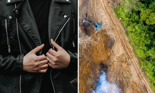 Nạn phá rừng ở Amazon, loạt “ông lớn” thời trang bị gọi tên