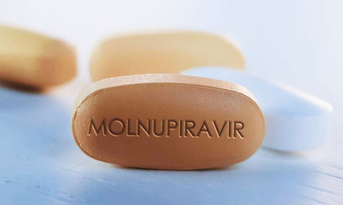 Phân bổ 300.000 liều thuốc Molnupiravir điều trị ca Covid-19 thể nhẹ