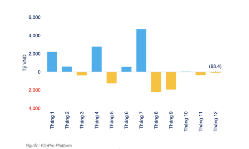 13 quỹ ETF ghi nhận dòng tiền vào ròng 4.700 tỷ đồng năm 2021, tập trung chủ yếu ở quỹ nội