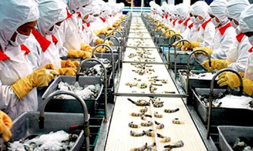 Thuỷ sản xuất khẩu sang Âu Mỹ nhọc nhằn vì các loại phí logistics tăng đột biến