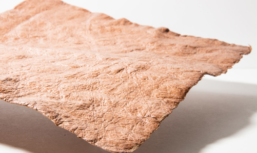 Da thuần chay từ nước dừa đang khuấy đảo làng thời trang Ấn Độ