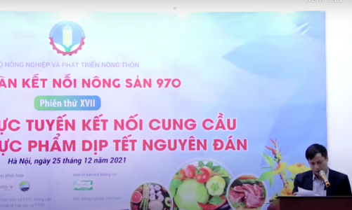 Kết nối tiêu thụ nông sản, đặc sản phục vụ Tết Nhâm Dần