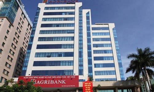 Agribank tổ chức đấu giá nhiều lô đất tại quận 1, TP.HCM để thu hồi nợ