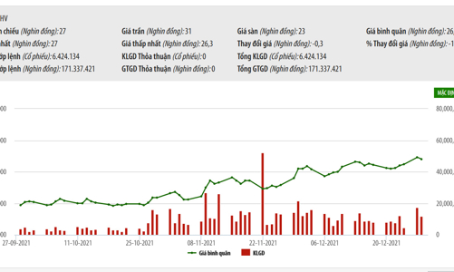 Cổ phiếu HHV lên sàn HOSE vào ngày 20/1 tới