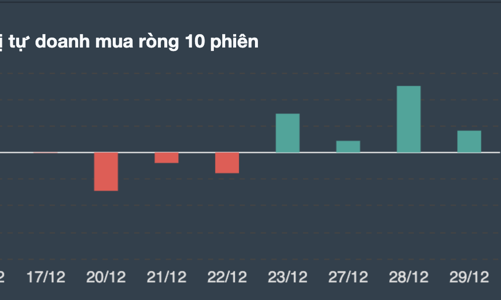 Tự doanh rải tiền mua ròng liên tục những phiên cuối cùng năm 2021