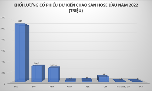 Gần 2 tỷ cổ phiếu sẽ đổ bộ lên sàn HOSE vào đầu năm 2022