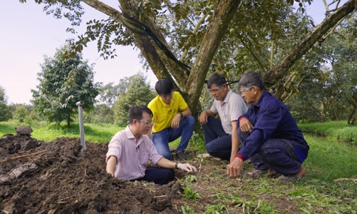 Phân bón Cà Mau: Chủ động nguồn cung đa dạng cho vụ Đông Xuân 2021 - 2022