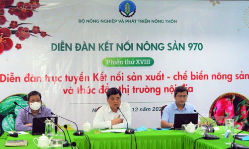 Đưa xe hàng nông sản từ cửa khẩu quay đầu về để chế biến, tiêu thụ nội địa