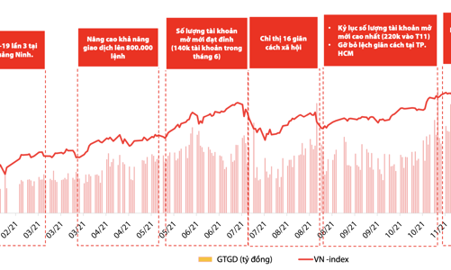Những dấu ấn khó quên của thị trường chứng khoán năm 2021